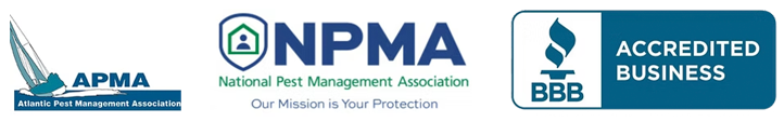 Industry accreditations