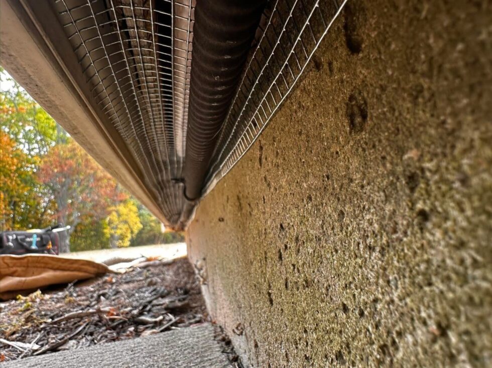Rodent exclusion mesh installed along the gap between siding and foundation